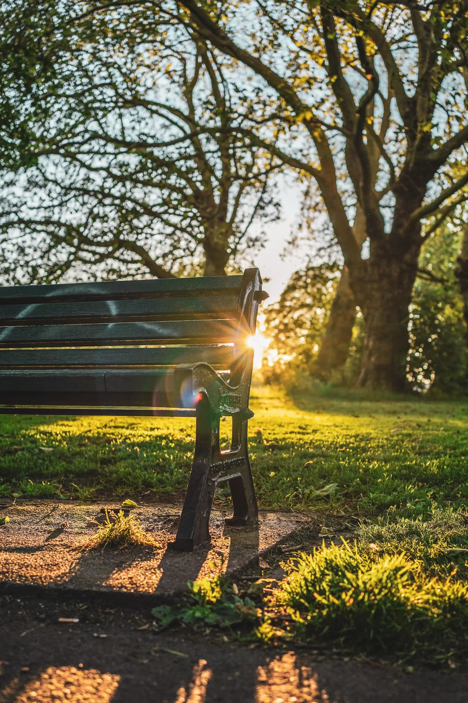 An empty park bench in sunlight.
