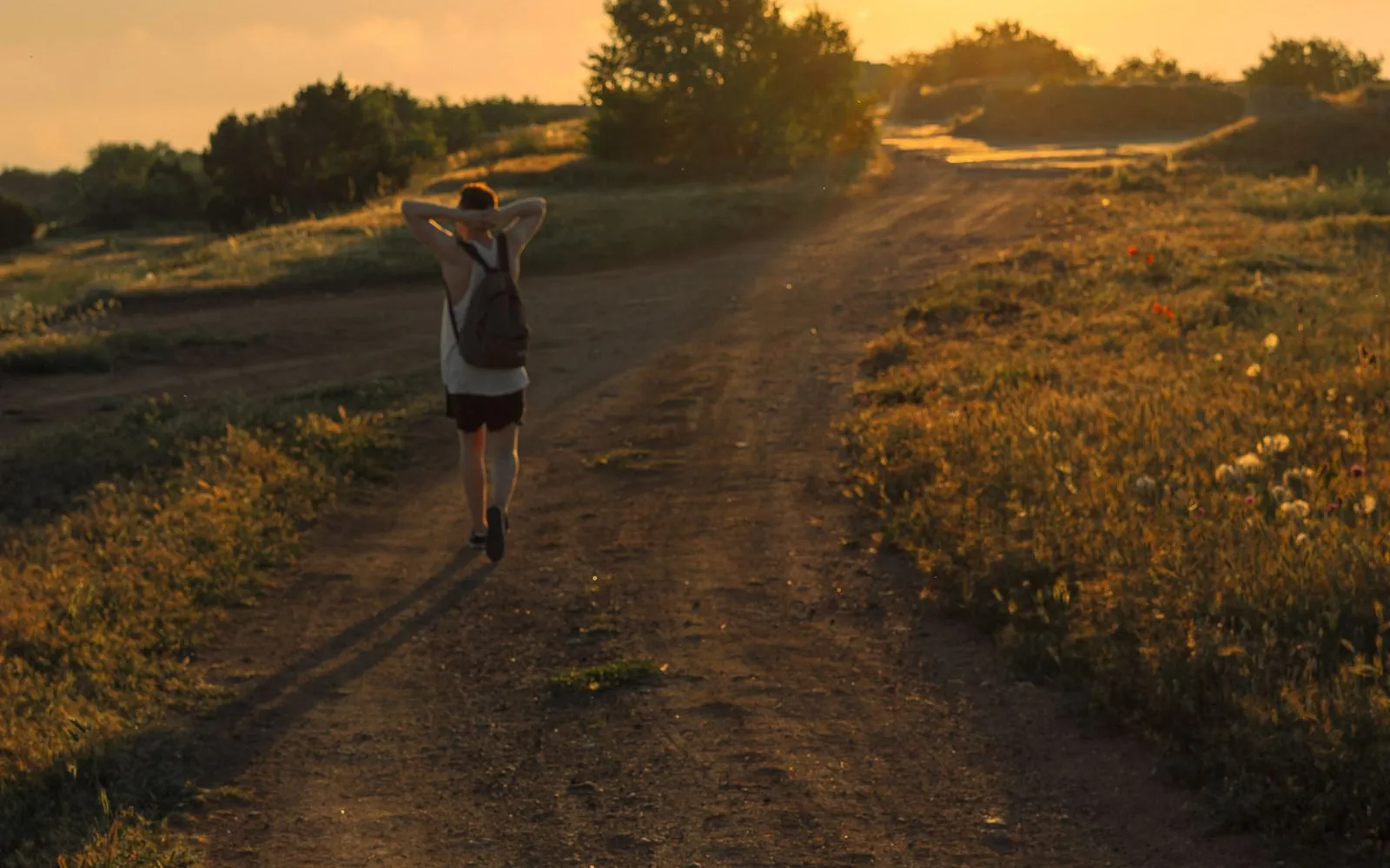 A person seen from behind walking along a dirt track through grass at sunset