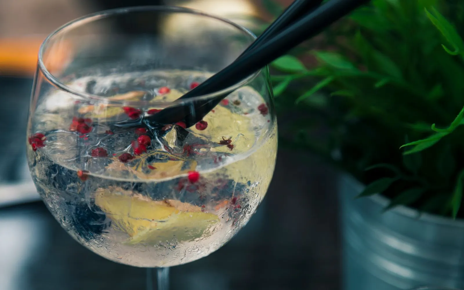 A gin and tonic with ice, lemon and pink peppercorns in a balloon glass, with a plant behind
