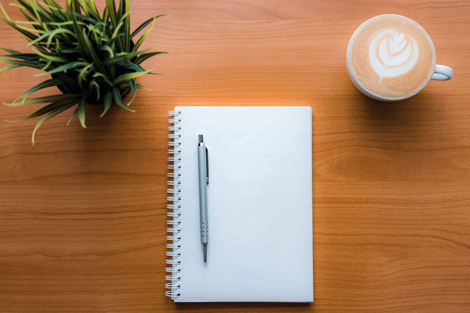 A notebook, pen, coffee and plant viewed from above.