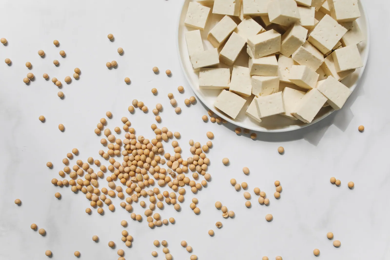Tofu on a white plate beside soybeans.