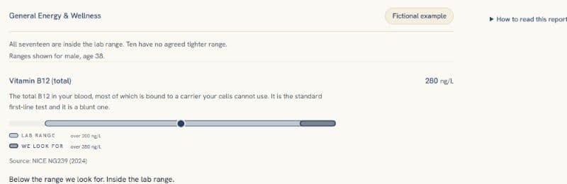 The Helvy sample report interface, showing a fictional General Energy & Wellness result