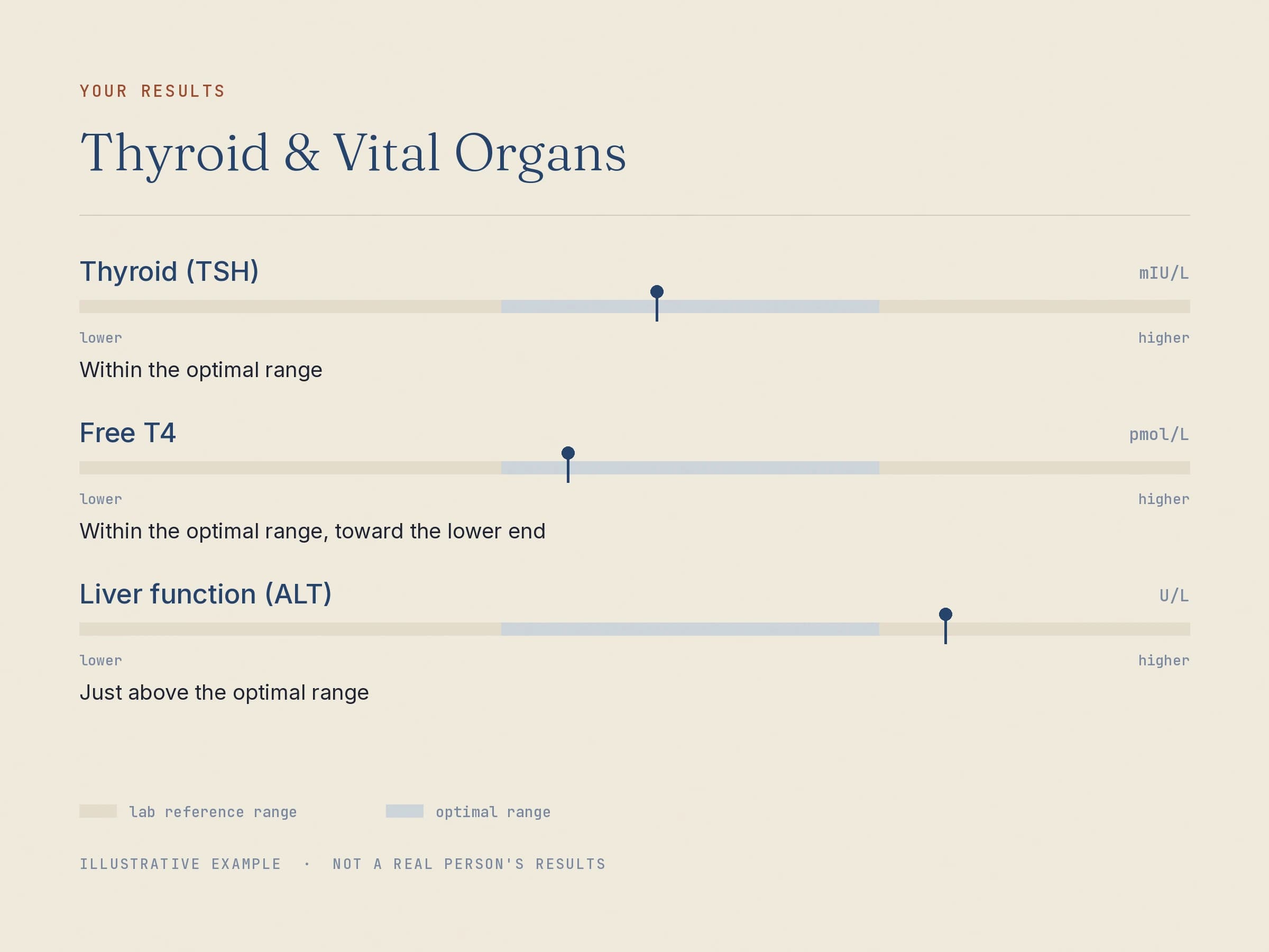 Three markers from the Thyroid & Vital Organs panel shown as range bars, with the optimal band shaded inside the wider lab reference range.