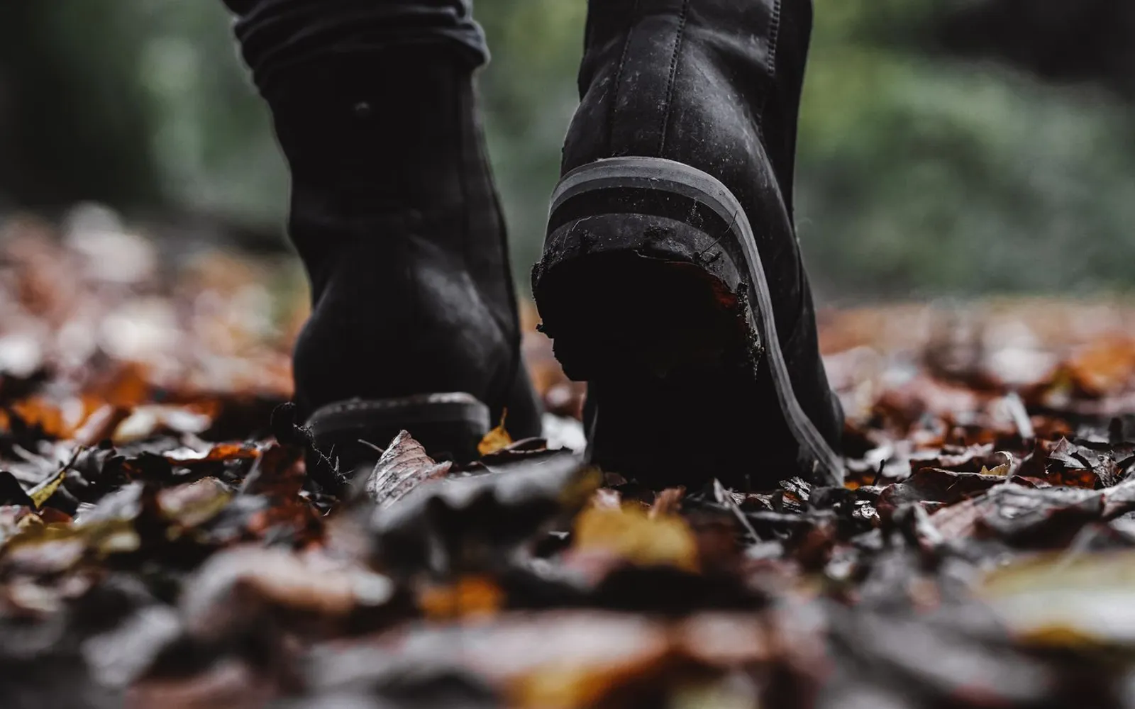 Close-up of black boots walking along a path covered in autumn leaves