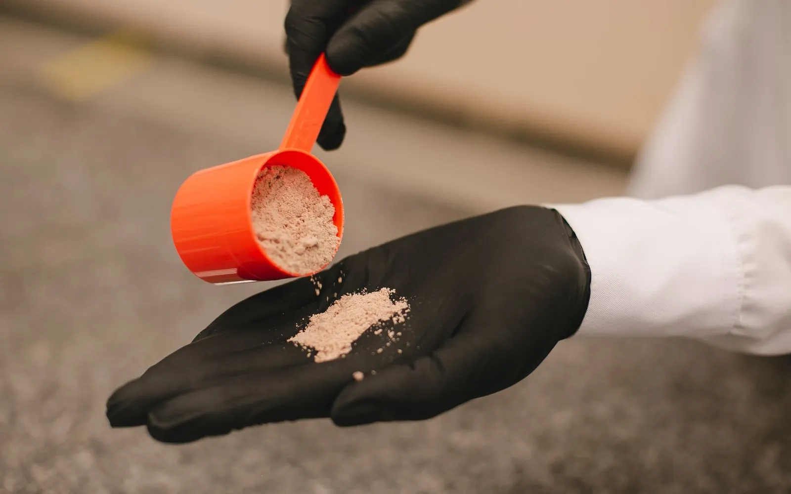 Gloved hands tipping a scoop of pale powder into an open palm.