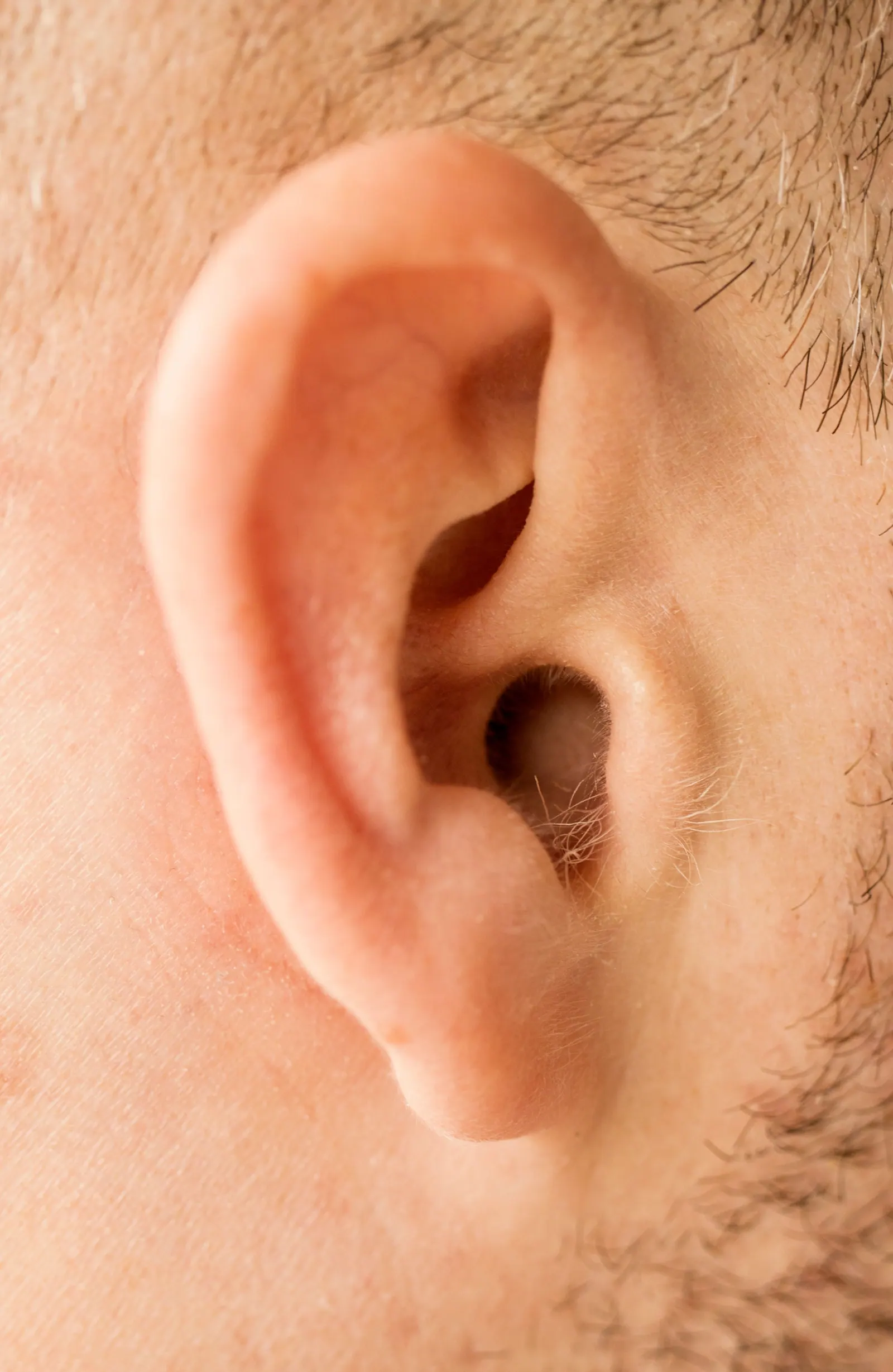 A close-up photograph of an ear.