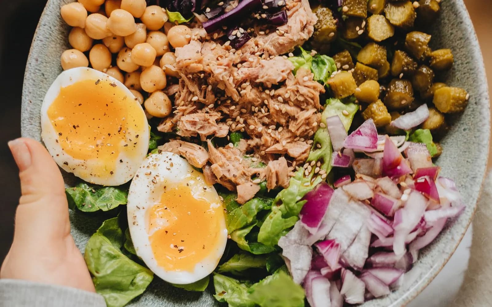 A hand holding a bowl of salad leaves, chickpeas, tuna, boiled egg, red cabbage, onion and chopped gherkins
