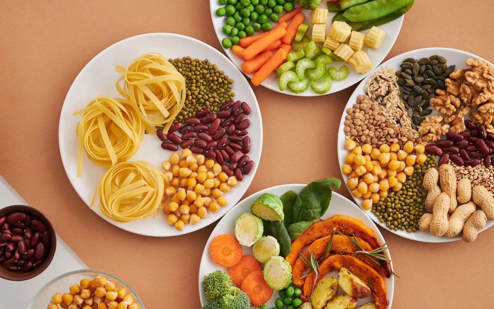 White plates of raw beans, chickpeas, lentils, brown rice, nuts, seeds and vegetables on a terracotta background