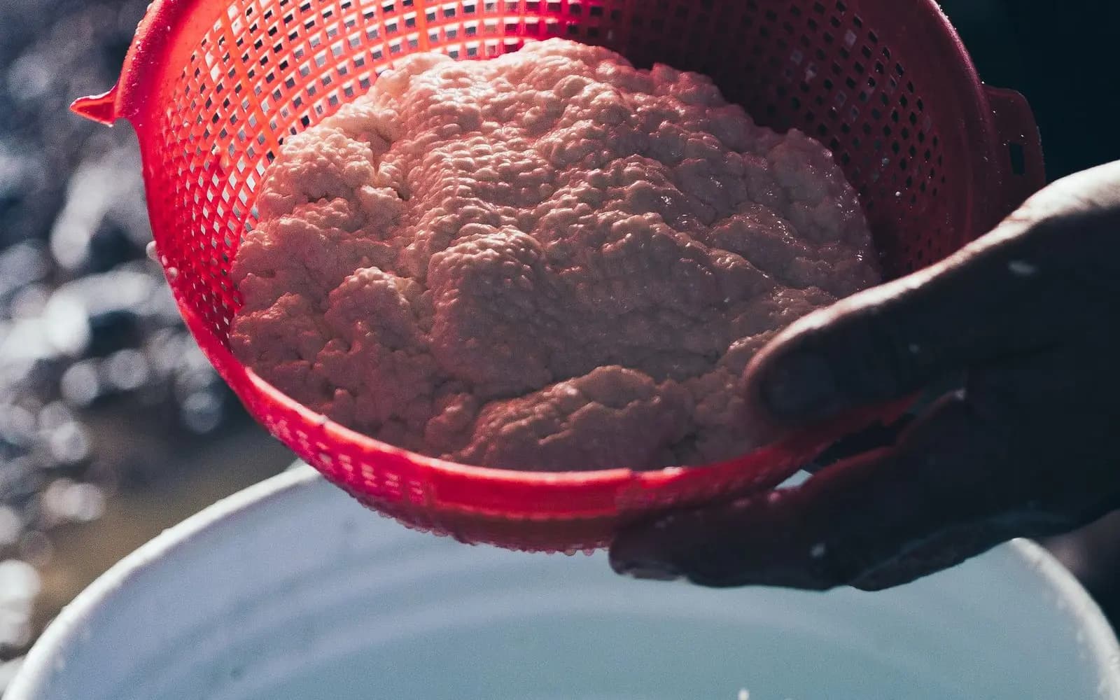 Hands straining fresh cheese curds in a red colander, with whey dripping into a bucket below.