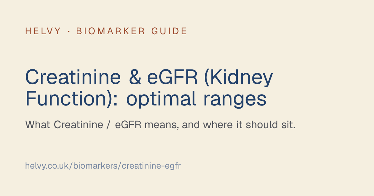 Creatinine & eGFR (Kidney Function) Blood Test | Optimal Ranges & Guide ...